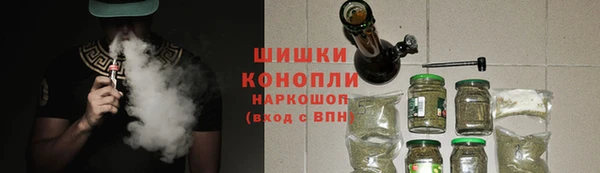 альфа пвп Гусев