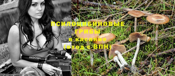 альфа пвп Гусев